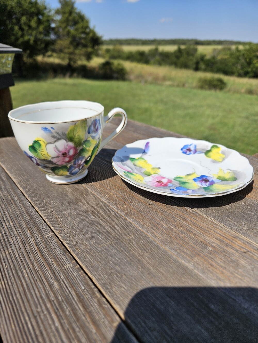 Kasuga Ware Morning Glory Teacup Saucer No 9 Birthday Floral Hand Painted Vtg